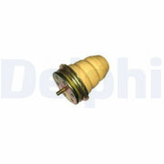 Delphi Axle Beam Bushing Rear fits Citroën Relay I 1994-2002 1.9 2.0 2.5 2.8