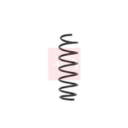 Apec Rear Suspension Coil Spring ACS1565