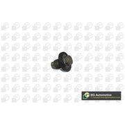 BGA Oil Sump Screw Plug PK5900