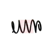 Apec Front Suspension Coil Spring fits Kia Sorento II 2009-2015 2.2