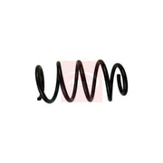 Apec Front Suspension Coil Spring ACS1900