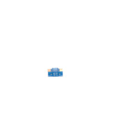 Bosch Automotive Fuse