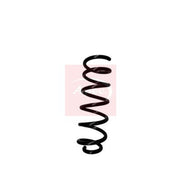 Apec 2 x Suspension Springs fits Dacia Sandero II 2012 on