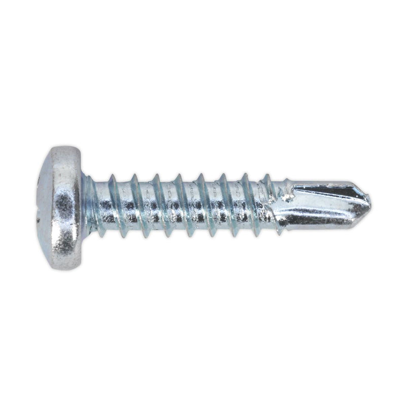 Sealey Self Drilling Screw Asstmt 500pc Pan Head Phillips Zinc AB060SDS Sealey  - Dynamic Drive
