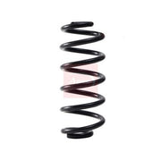 Apec Rear Suspension Coil Spring fits BMW X5 2010-2018