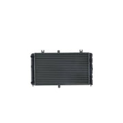 Mahle Engine Radiator fits Lada Priora 2007-2018 1.6