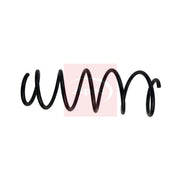 Apec Front Suspension Coil Spring ACS1892