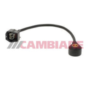 Cambiare Engine Knock Sensor VE369055