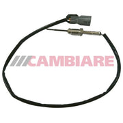 Cambiare Exhaust Gas Temperature Sensor VE390359