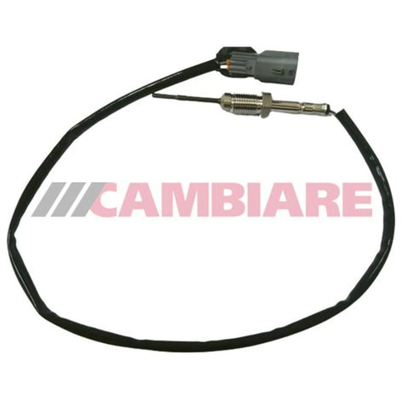 Cambiare Exhaust Gas Temperature Sensor VE390359