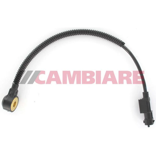 Cambiare Engine Knock Sensor VE369156