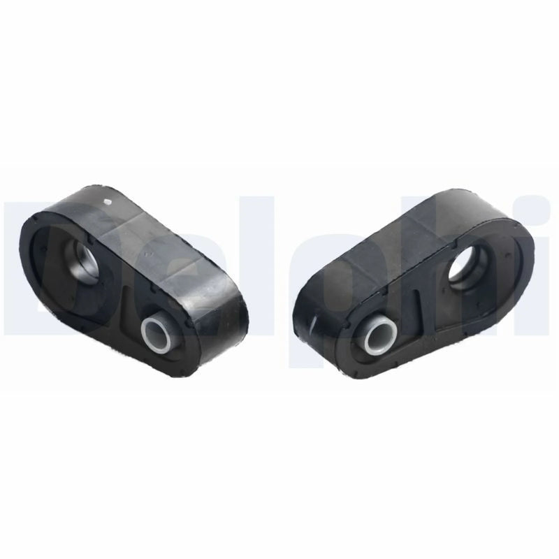 Delphi 2 x Anti Roll Bar Bush fits Nissan Interstar 2002-2006
