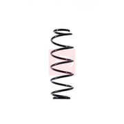 Apec Rear Suspension Coil Spring ACS1546