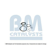 BM Catalysts Fitting Kit FK11316C FK11316C