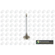 BGA Engine Intake Valve Head V149481