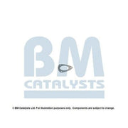 BM Catalysts Fitting Kit FK91978A FK91978A