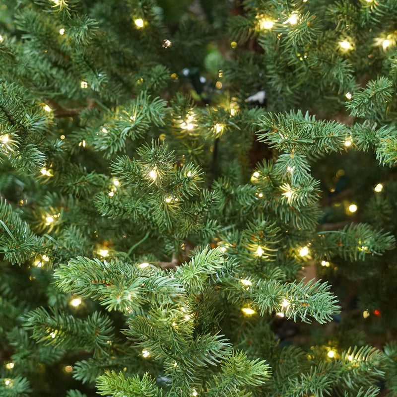 Dellonda Pre-Lit 6ft Hinged Christmas Tree with White LED Lights & PE/PVC Tips Dellonda - Dynamic Drive