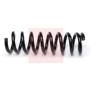 Apec Front Suspension Coil Spring ACS2243