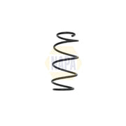 NAPA 2 x Suspension Springs fits Fiat 500 2007 on 1.2