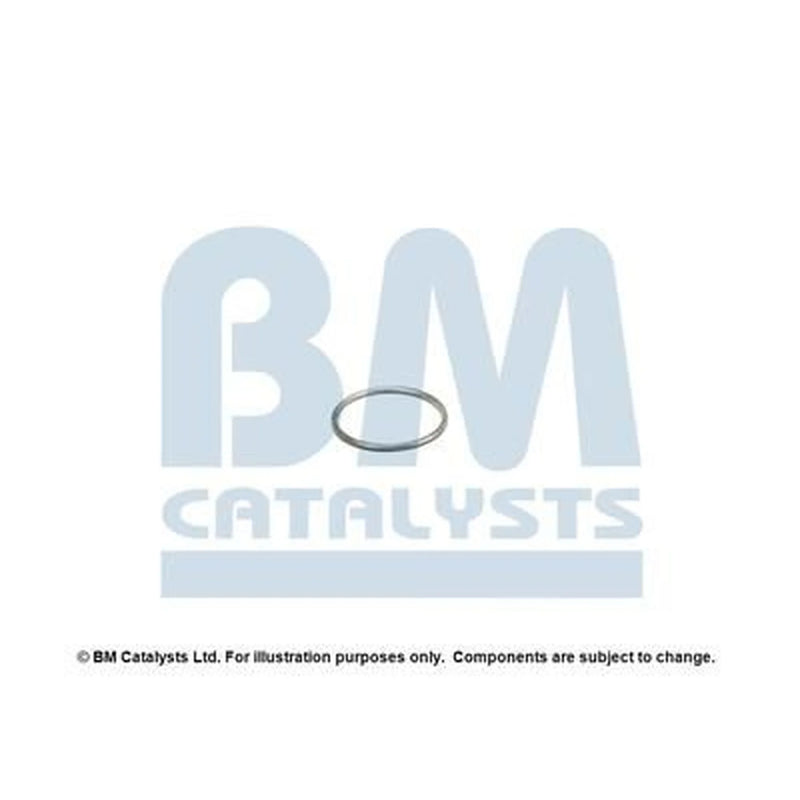 BM Catalysts Fitting Kit FK80411A FK80411A