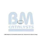 BM Catalysts Fitting Kit FK80411A FK80411A