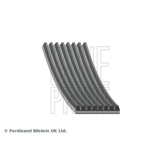 Blue Print Multi V-Ribbed Drive Belt fits Ford Cargo II 2004 on