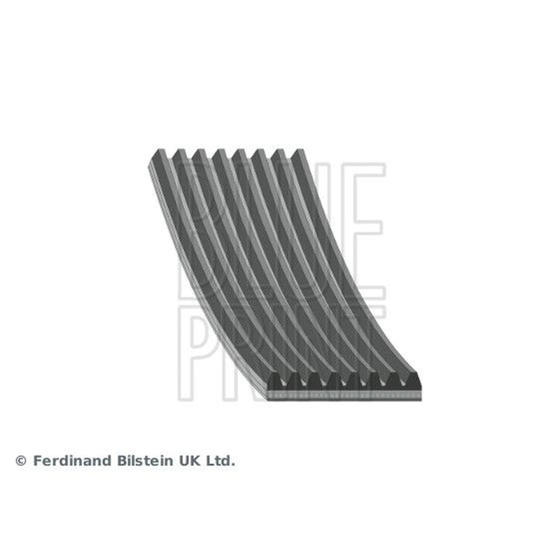 Blue Print Multi V-Ribbed Drive Belt AD08R2175