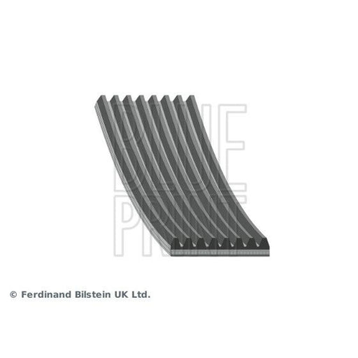 Blue Print Multi V-Ribbed Drive Belt AD08R1956