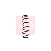 Apec Front Suspension Coil Spring fits Smart Cabrio 2000-2004