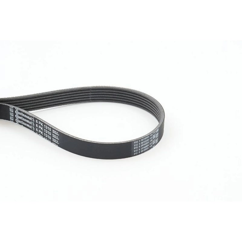 Continental CTAM Multi V-Ribbed Drive Belt fits Chrysler Ypsilon 2011 on 1.3