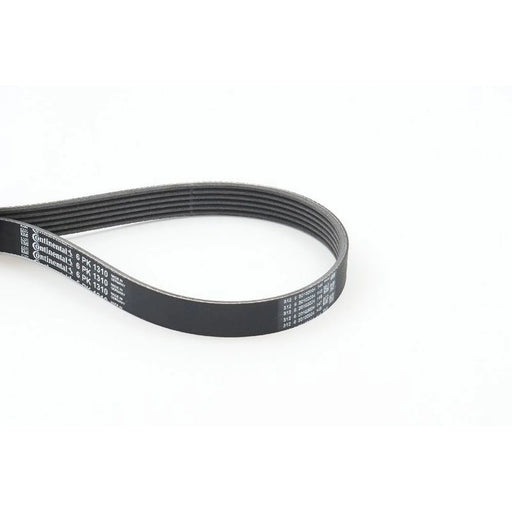 Continental CTAM Multi V-Ribbed Drive Belt fits Chrysler Ypsilon 2011 on 1.3