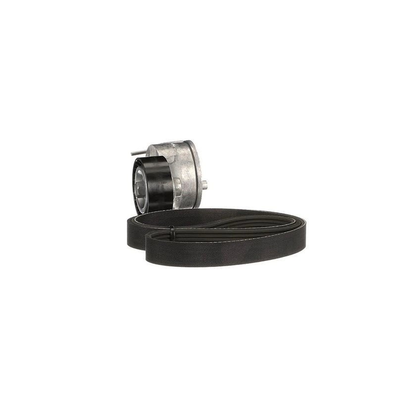 Gates V-Ribbed Belt Set K046PK1245