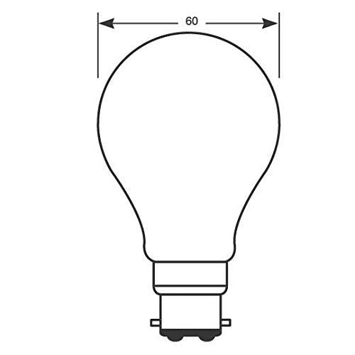 Ring Automotive R108 240V 40W Bc Rough Service Bulb Ring Automotive  - Dynamic Drive