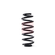 Apec 2 x Suspension Springs fits Audi A3 2003-2013 1.4 1.6 1.8 2.0