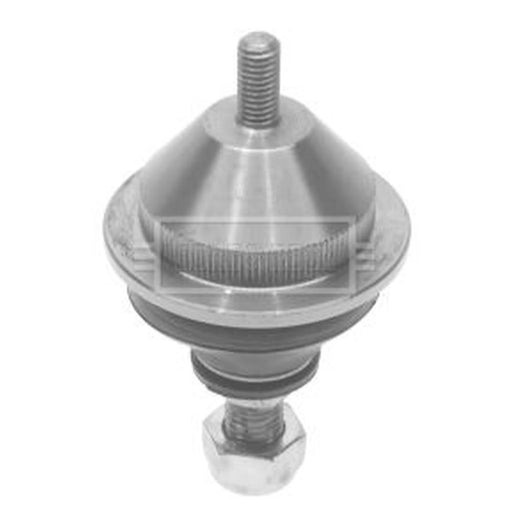 Borg & Beck Ball Joint Lower BBJ5079