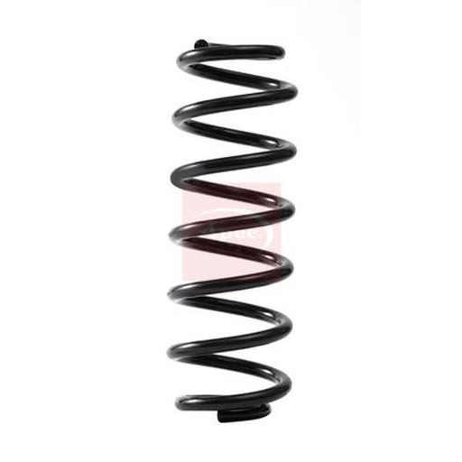 Apec Rear Suspension Coil Spring ACS2384