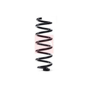 Apec Rear Suspension Coil Spring fits Nissan Qashqai II 2013-2014 1.5 1.6