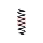 Apec Rear Suspension Coil Spring ACS1846