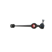 Delphi Control/Trailing Arm Lower TC176