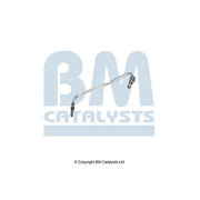 BM Catalysts Pressure Pipe PP11603B PP11603B