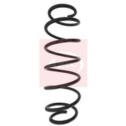 Apec Rear Suspension Coil Spring ACS1621