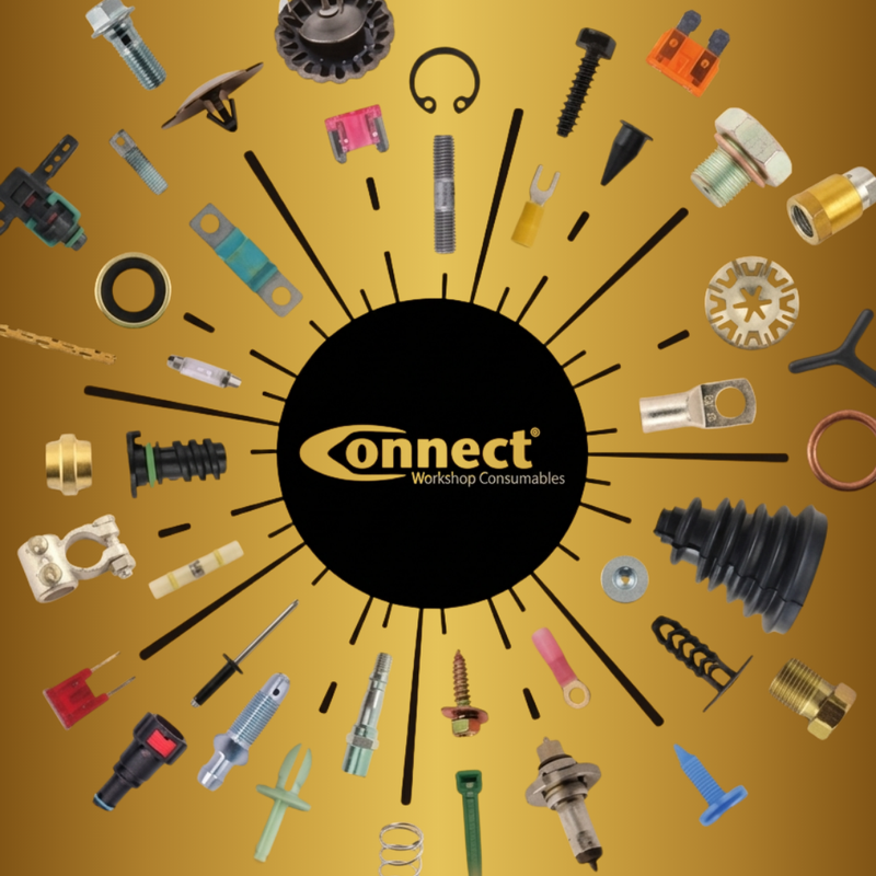 Connect Number Plate Screw 10 x Black Polytop 100pc 1-3