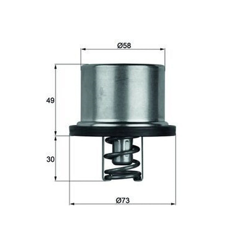 Mahle Thermostat,Coolant fits Daf 95 1987-1998