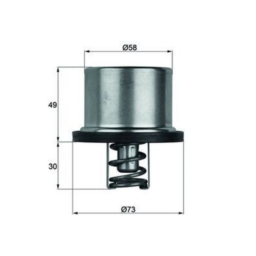Mahle Thermostat,Coolant fits Daf 95 1987-1998