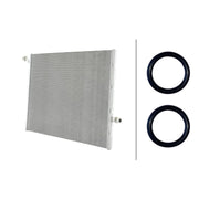 Hella Engine Radiator Front 8MK 366 304-241