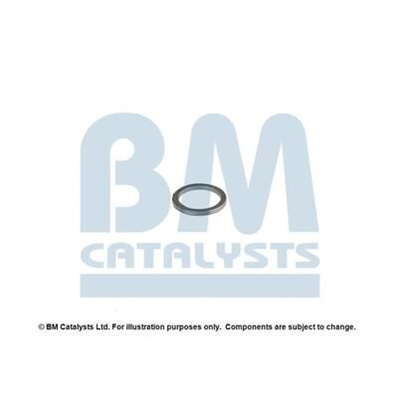 BM Catalysts Exhaust Pipe Mounting Kit