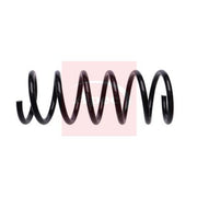 Apec Rear Suspension Coil Spring fits Volvo S60 II 2010-2015