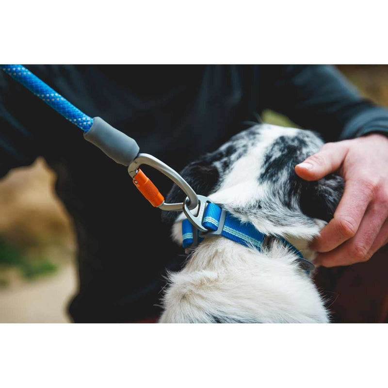 Ruffwear Knot-a-Leash Dog Lead in Blue Pool (Large) Ruffwear - Bars 4 Cars