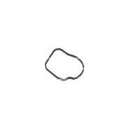 NRF Thermostat,Coolant 725260