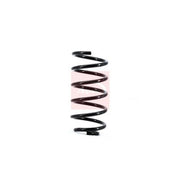 Apec Rear Suspension Coil Spring ACS1663